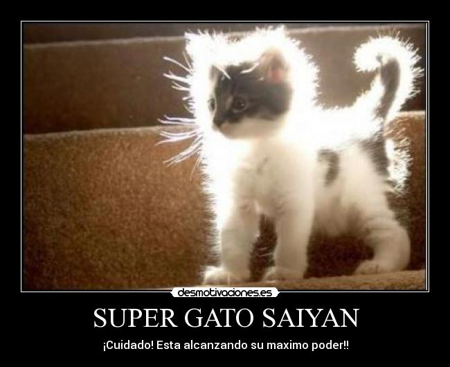 SUPER GATO SAIYAN - 