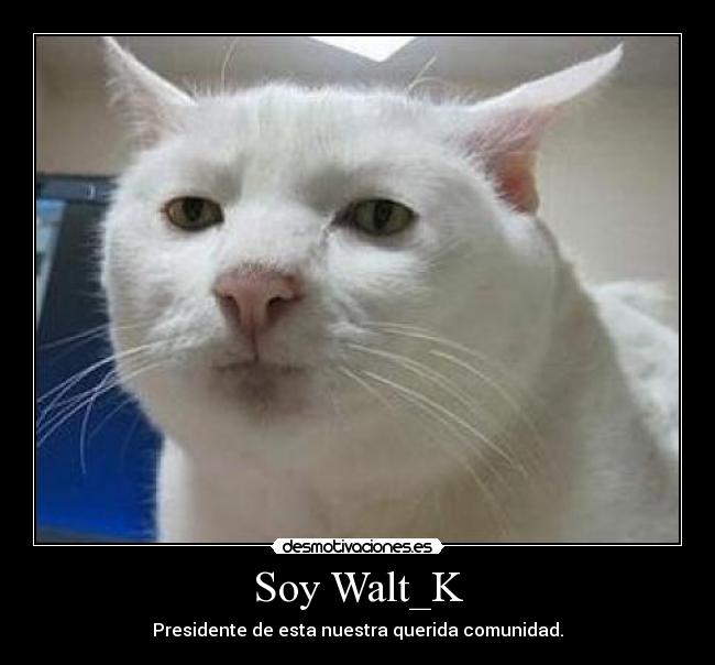 Soy Walt_K - Presidente de esta nuestra querida comunidad.
