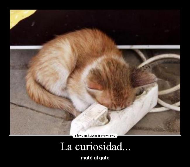La curiosidad... - 