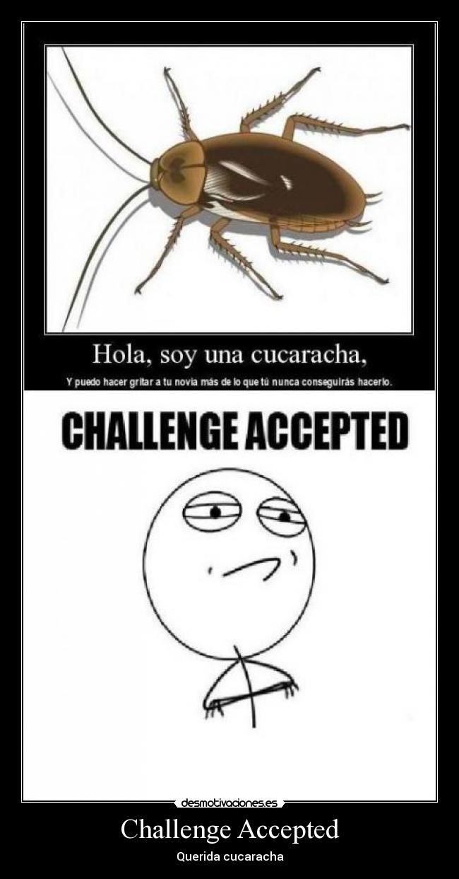 Challenge Accepted -