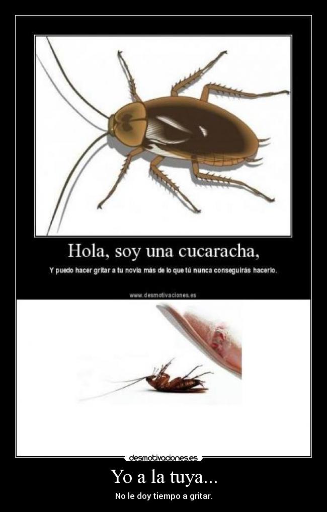 Yo a la tuya... - No le doy tiempo a gritar.