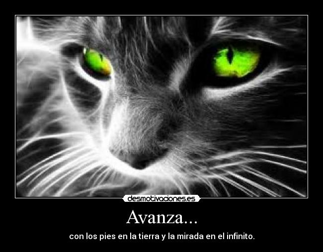 Avanza... - con los pies en la tierra y la mirada en el infinito.