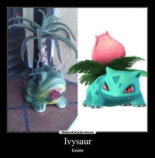 Ivysaur - Existe