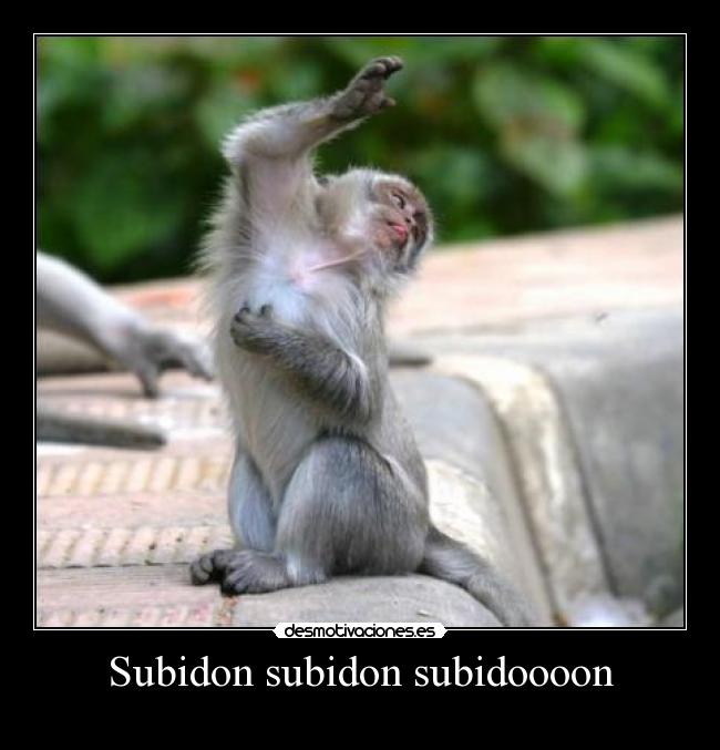 Subidon subidon subidoooon - 