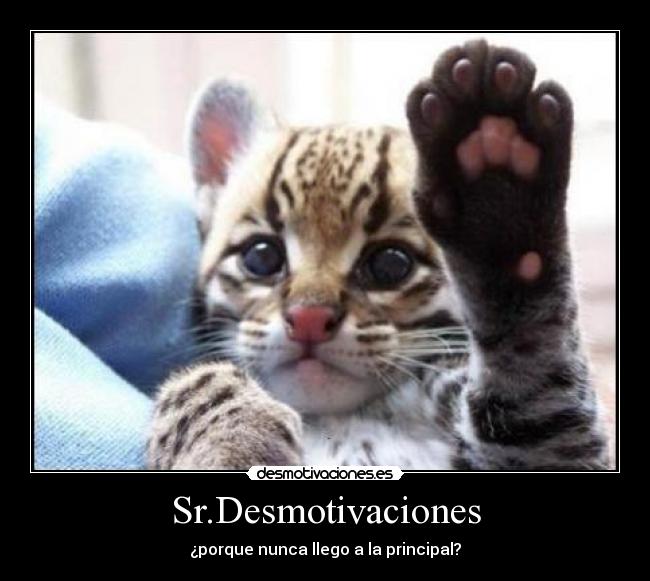 Sr.Desmotivaciones -