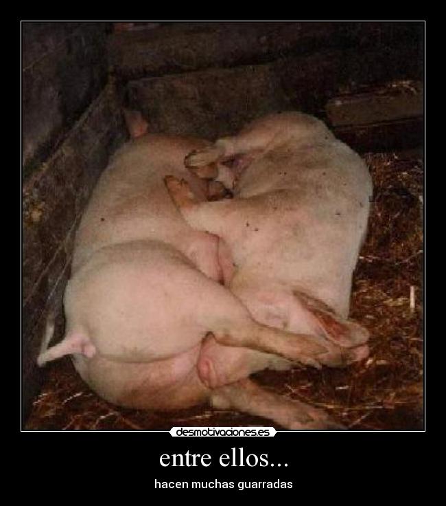 entre ellos... - 