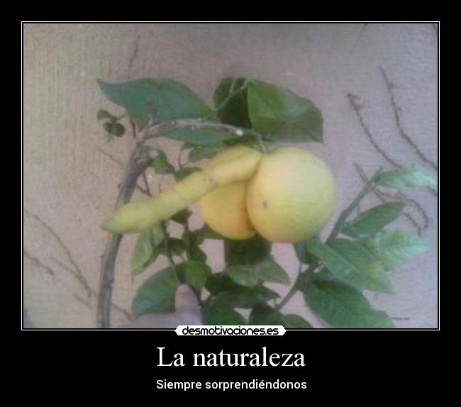 La naturaleza - Siempre sorprendiéndonos