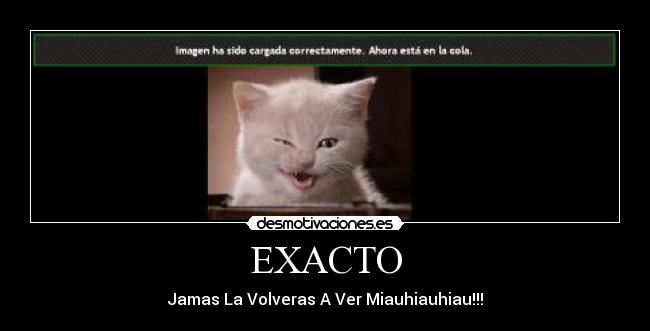 EXACTO - Jamas La Volveras A Ver Miauhiauhiau!!!