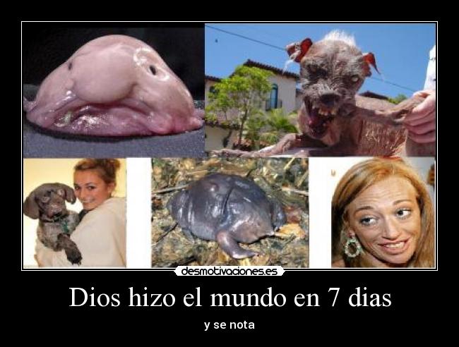 Dios hizo el mundo en 7 dias -