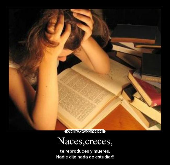 carteles  desmotivaciones