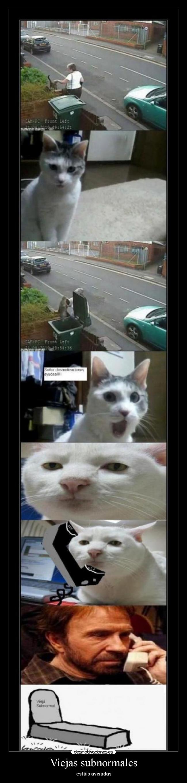 Viejas subnormales -