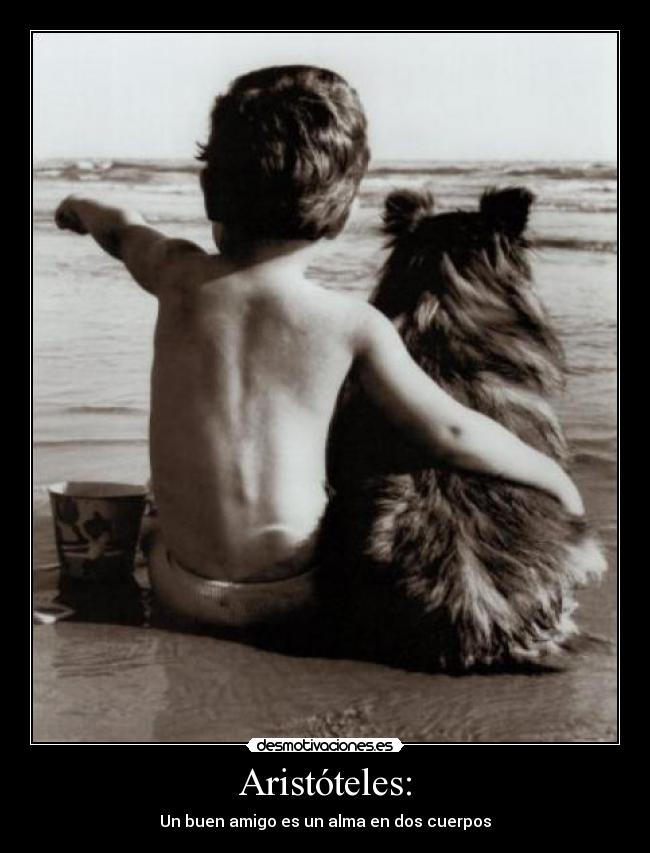 Aristóteles: - 