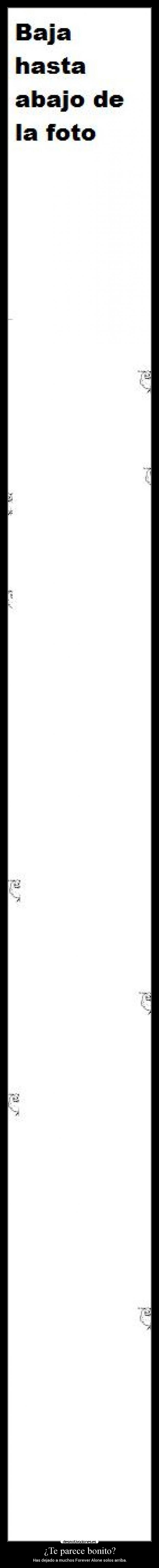 ¿Te parece bonito? -