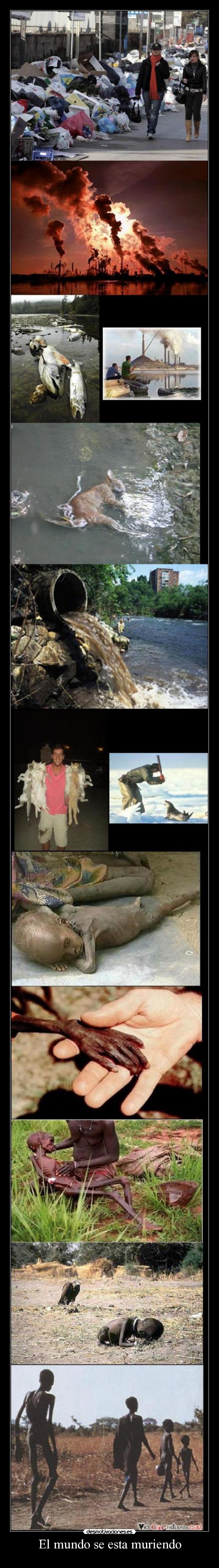 El mundo se esta muriendo -