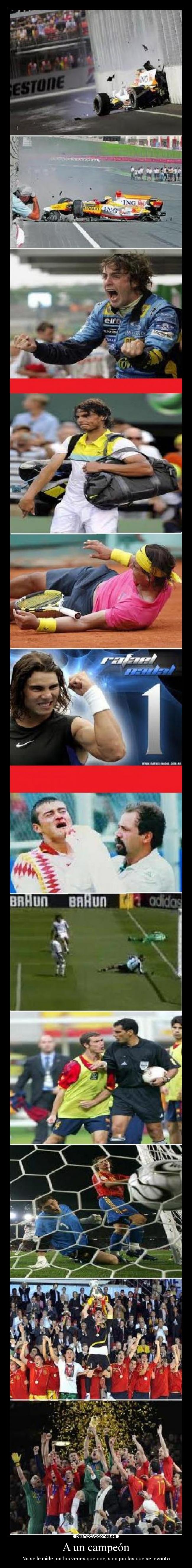 carteles campeones eniine caer levantarse desmotivaciones