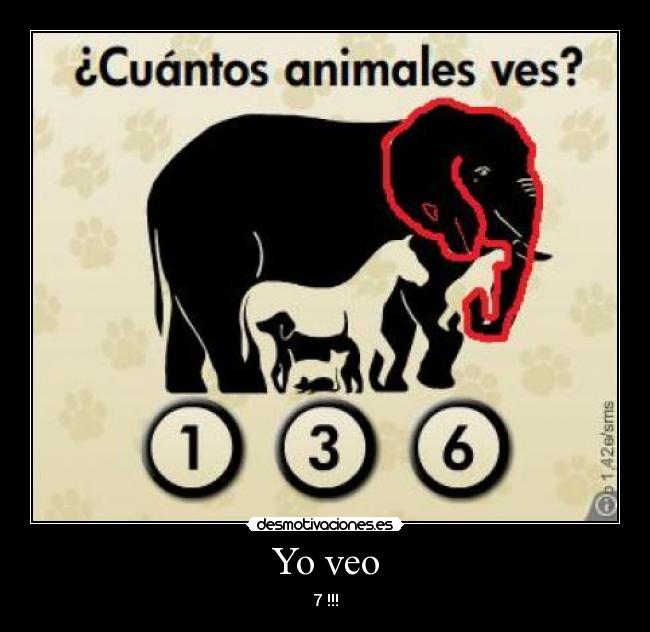 Yo veo - 7 !!!