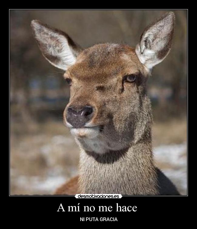 A mí no me hace -