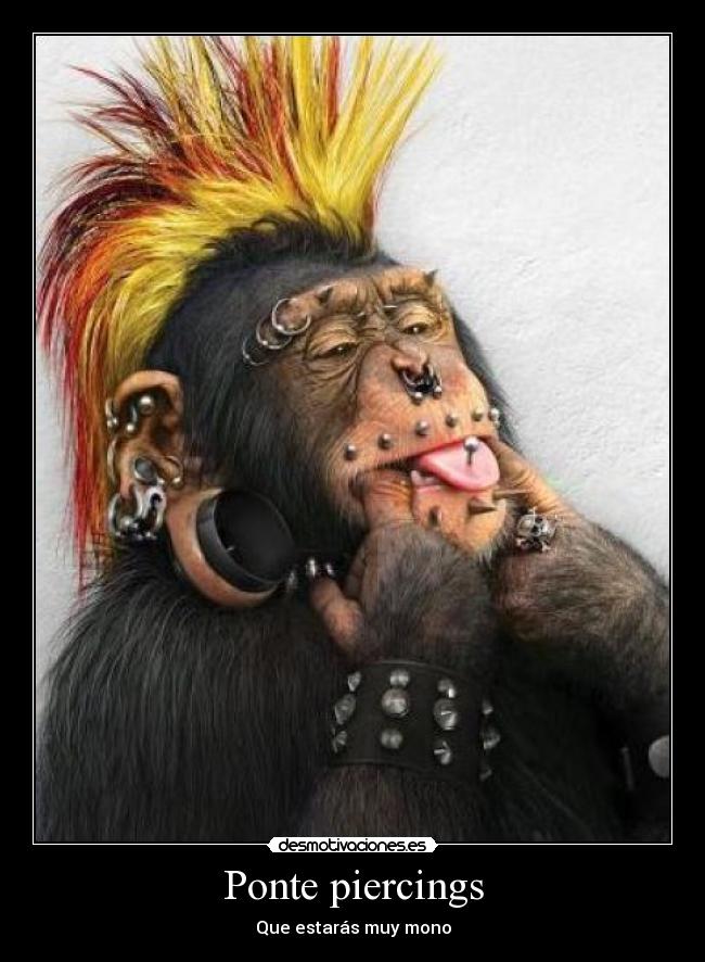 Ponte piercings - Que estarás muy mono
