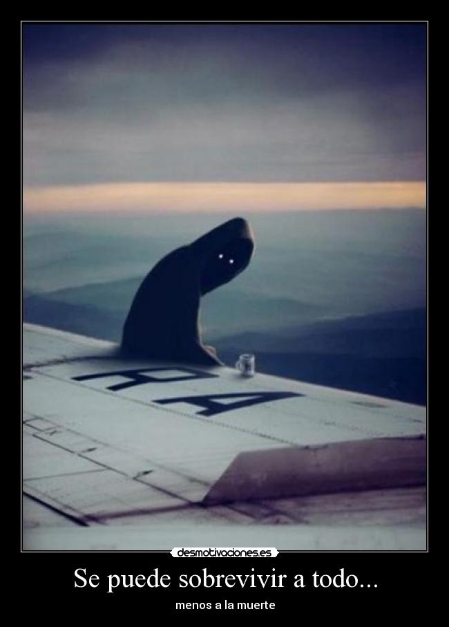 carteles muerte desmotivaciones