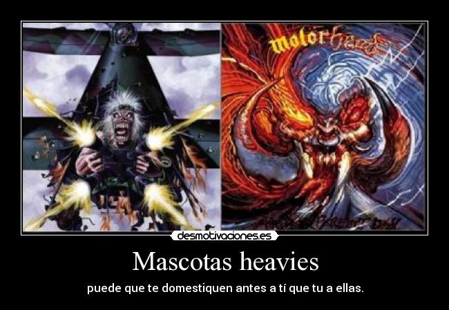 Mascotas heavies - puede que te domestiquen antes a tí que tu a ellas.