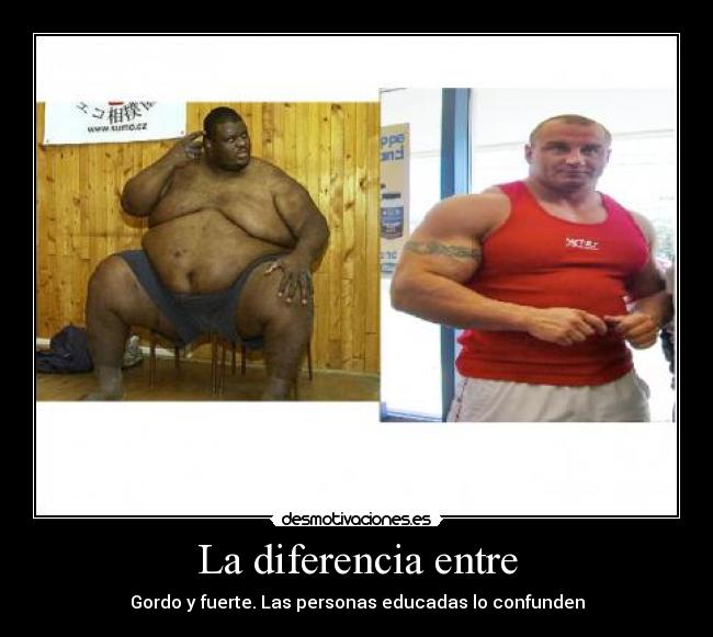 carteles gordo fuerte personas educadas desmotivaciones