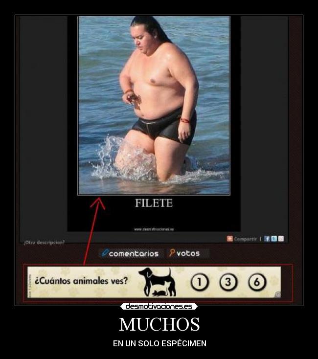 MUCHOS -