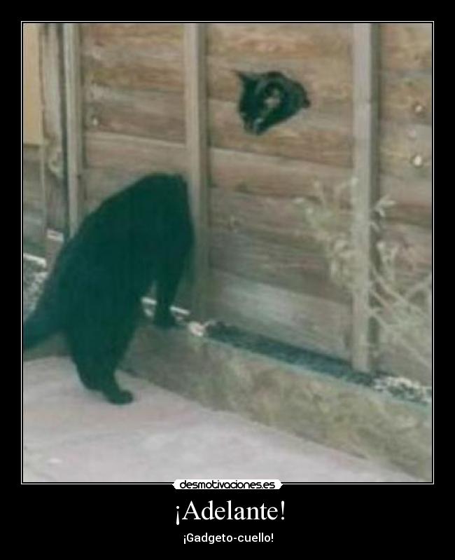 ¡Adelante! - ¡Gadgeto-cuello!