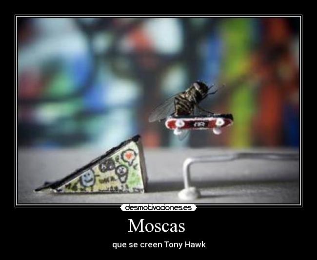 Moscas  - que se creen Tony Hawk