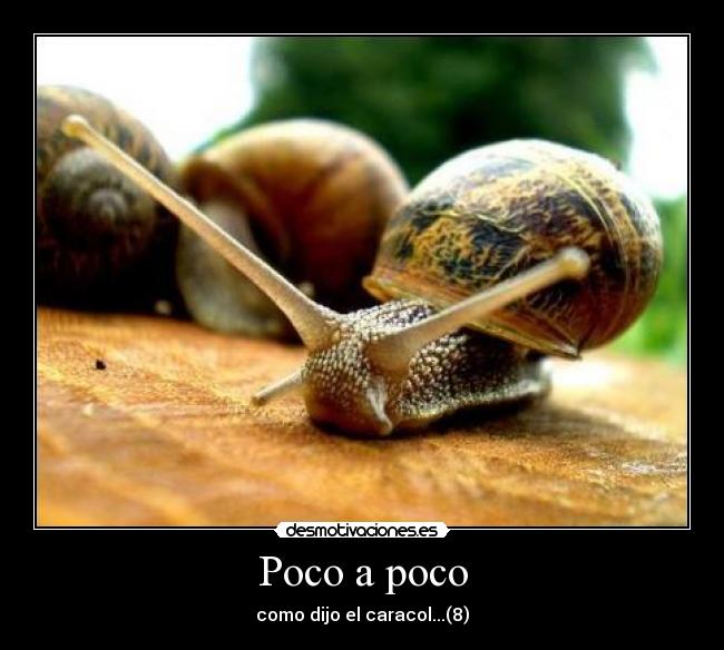 Poco a poco - como dijo el caracol...(8)