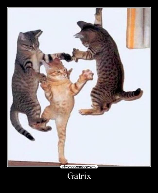 Gatrix -