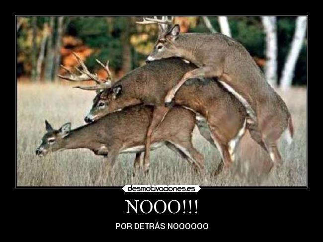 NOOO!!! -
