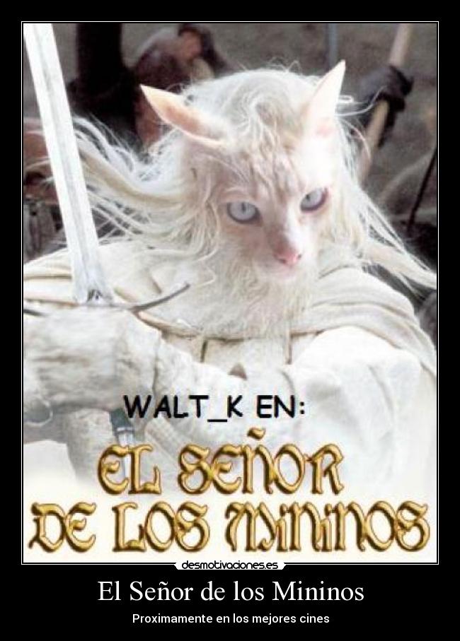 El Señor de los Mininos - 