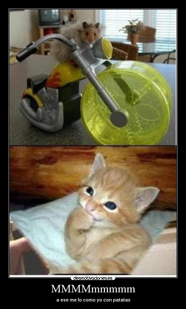 MMMMmmmmm - a ese me lo como yo con patatas