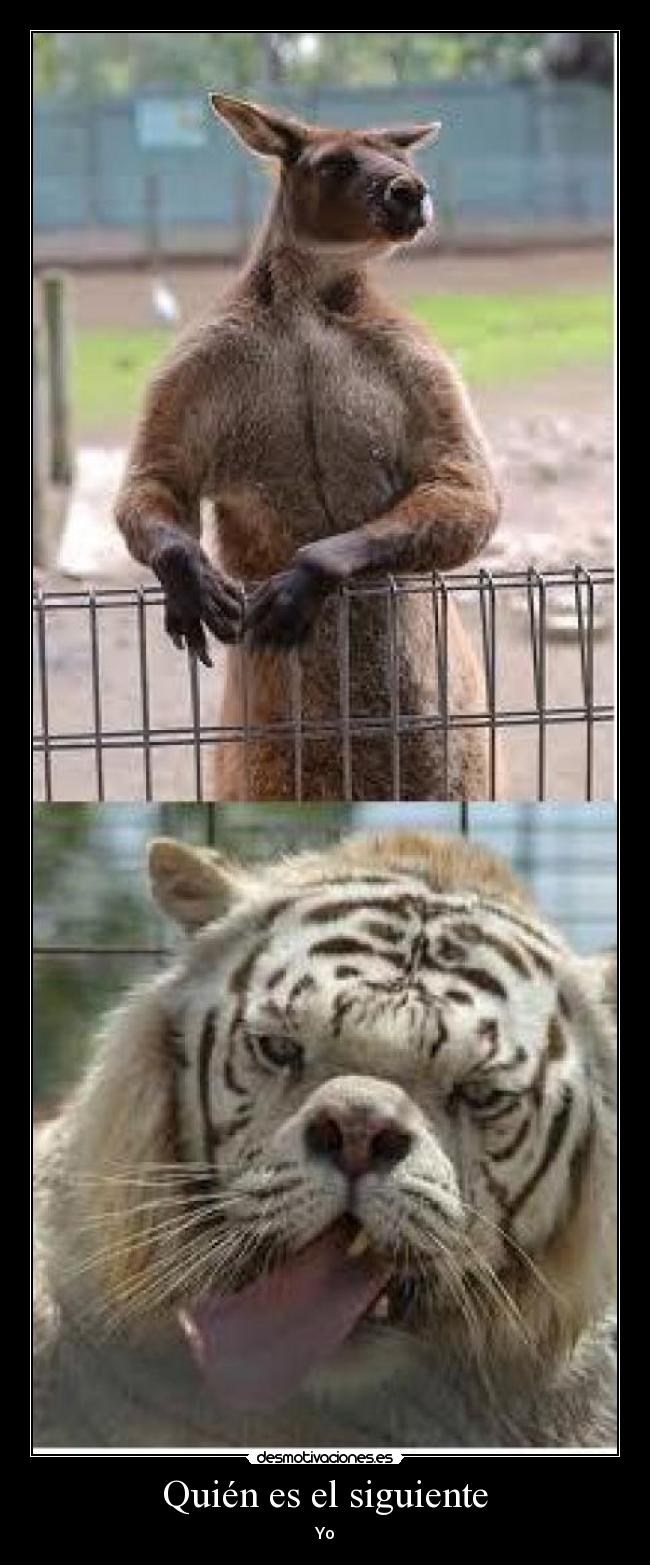 Quién es el siguiente - Yo