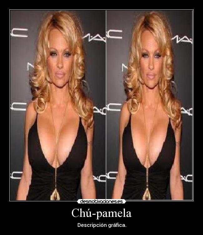 carteles pamela anderson desmotivaciones