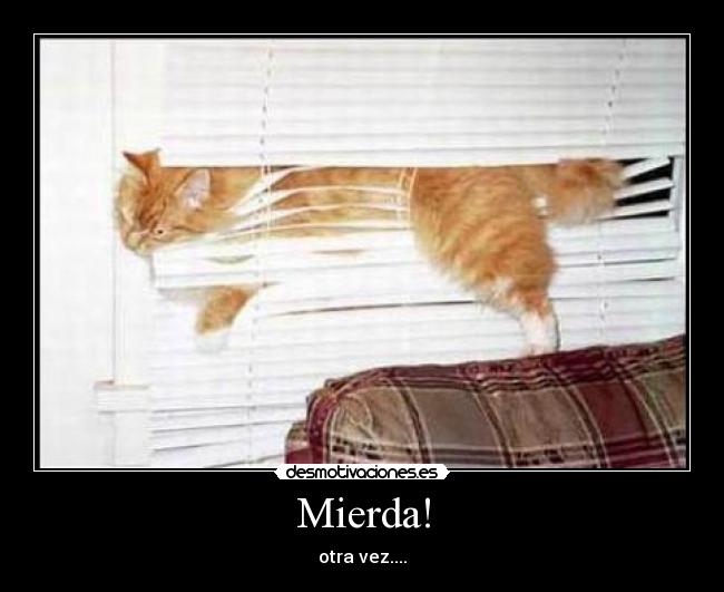 Mierda! - 