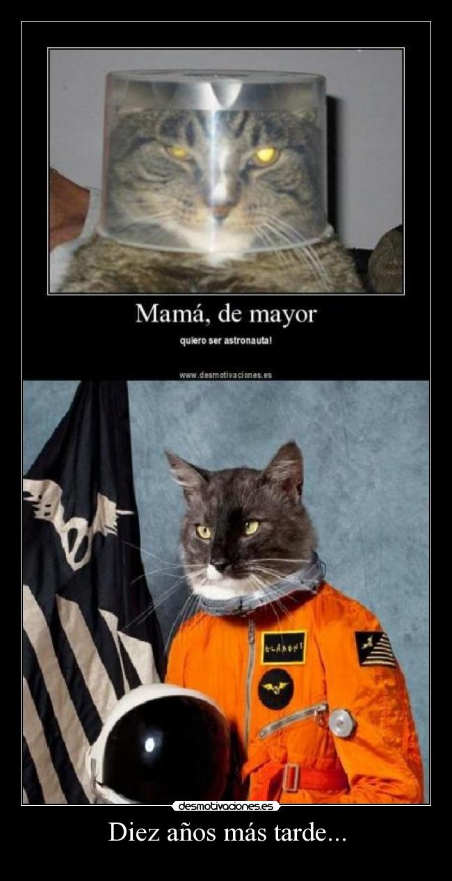 Diez años más tarde... -