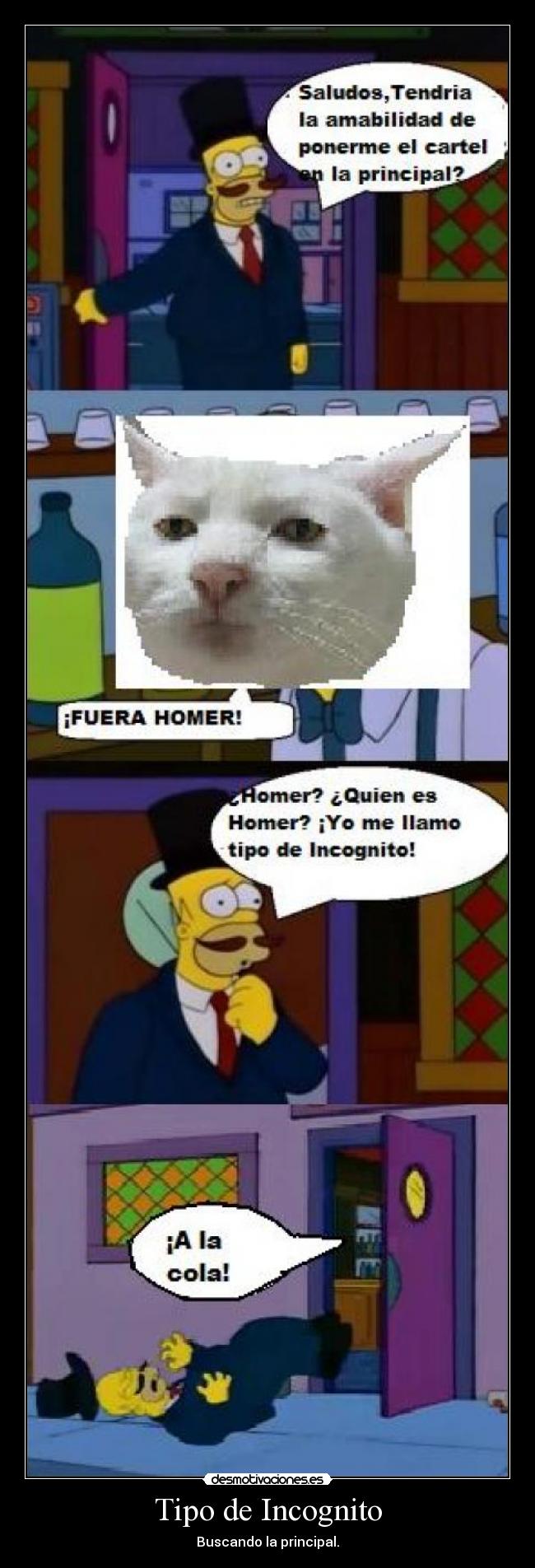 carteles tipo incognito principal cola walt_k gato simpsons desmotivaciones