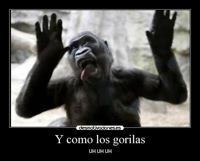 carteles como los gorilas desmotivaciones