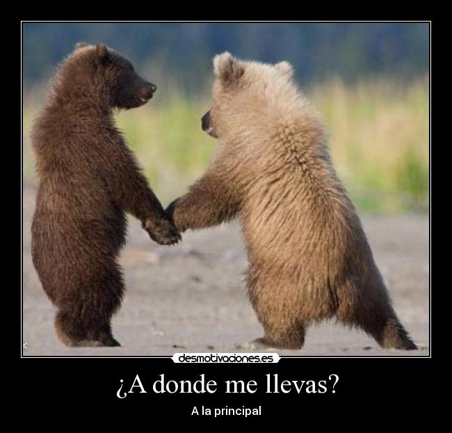 ¿A donde me llevas? -