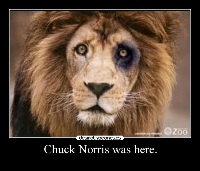 Chuck Norris was here. - 