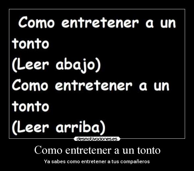 carteles tonto tonteria desmotivaciones