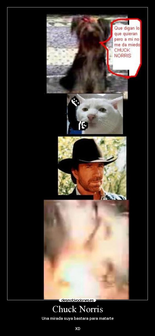 Chuck Norris - 