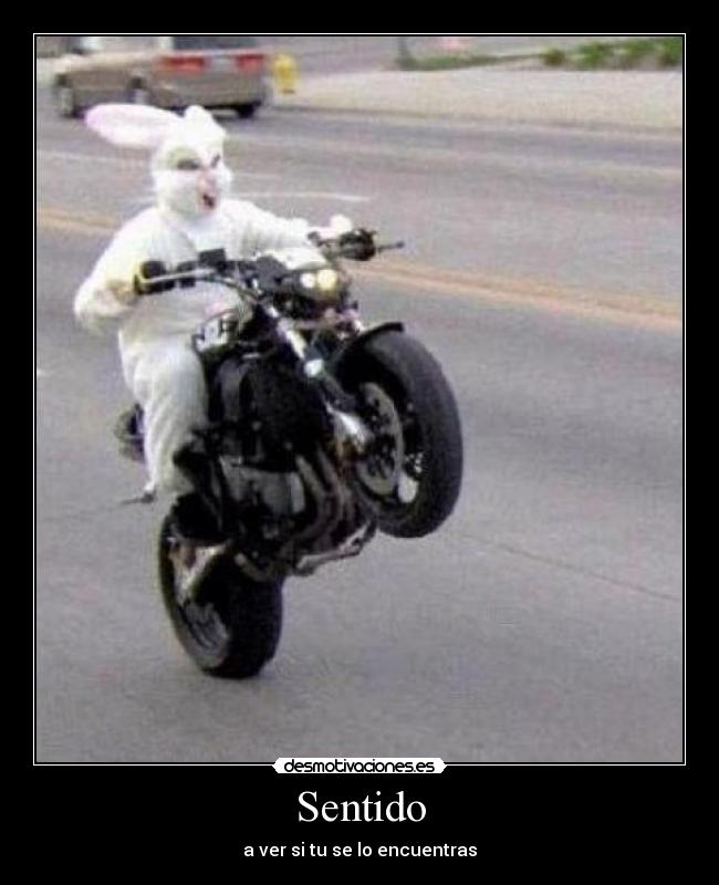 Sentido - a ver si tu se lo encuentras