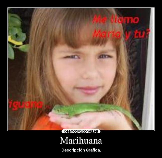 Marihuana -