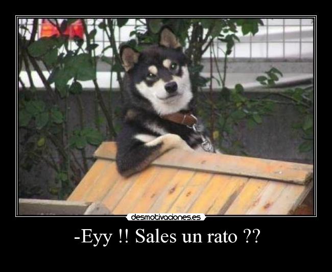 -Eyy !! Sales un rato ?? - 