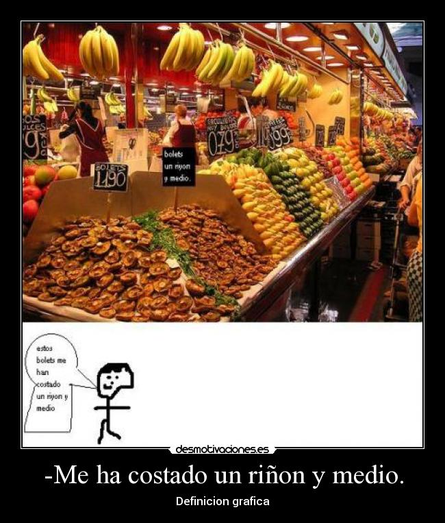 -Me ha costado un riñon y medio. - Definicion grafica