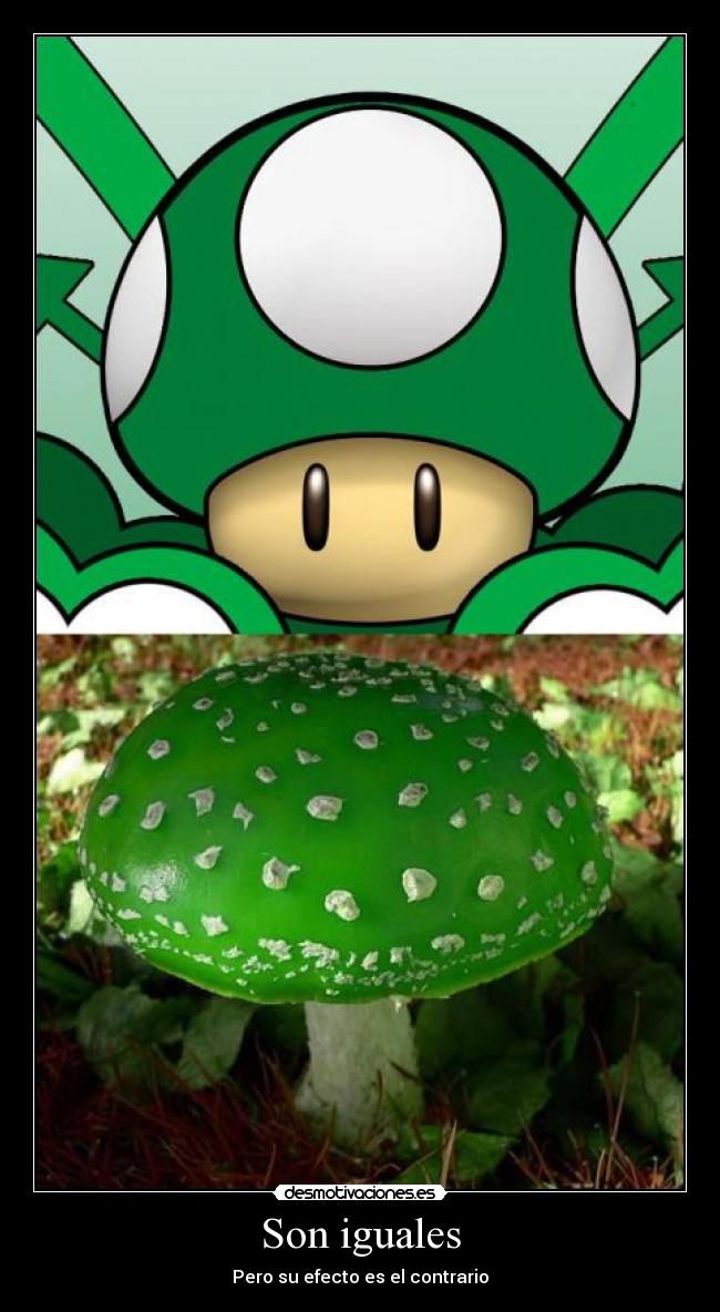 Son iguales - Pero su efecto es el contrario