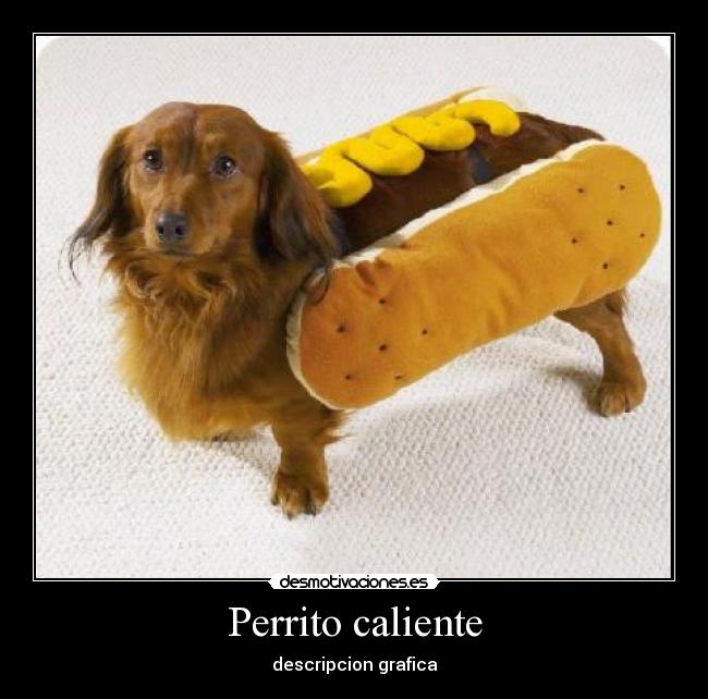 carteles perrito caliente desmotivaciones
