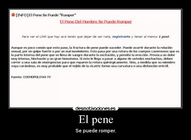 El pene -